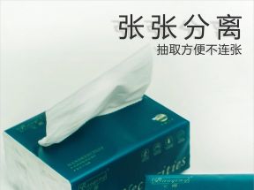 抽纸4层300张家用纸巾实惠装擦手纸餐巾纸整箱面巾纸卫生纸原木_文哥家居店_洗护清洁剂/卫生巾/纸/香薰