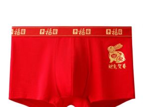 南极人本命年内裤男士平角纯棉大红色礼物属兔年结婚大码四角短裤_南极人佳锐康内衣店_女士内衣/男士内衣/家居服