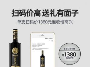 干红葡萄酒红酒整箱14度法国进口正品婚庆送礼6支装红洒整箱包邮_淘醉酒类_酒类