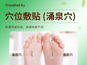 李时珍耳鸣贴官方旗舰店特效药神经性耳聋脑鸣止鸣足底穴位专用膏_百草大健康品牌店_居家日用
