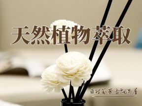 无火香薰精油栀子花持久留香氛清新剂酒店房间卧室内摆件厕所除臭_香百汇家居日用品店_洗护清洁剂/卫生巾/纸/香薰