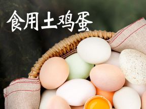 混发10枚珍禽土鸡蛋食用鸡蛋_圆梦农庄_水产肉类/新鲜蔬果/熟食