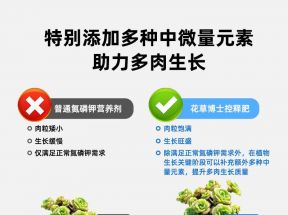 花草博士多肉专用控缓释肥家用盆栽补充氮磷钾花卉植物通用型肥料_花草博士家庭园艺_鲜花速递/花卉仿真/绿植园艺