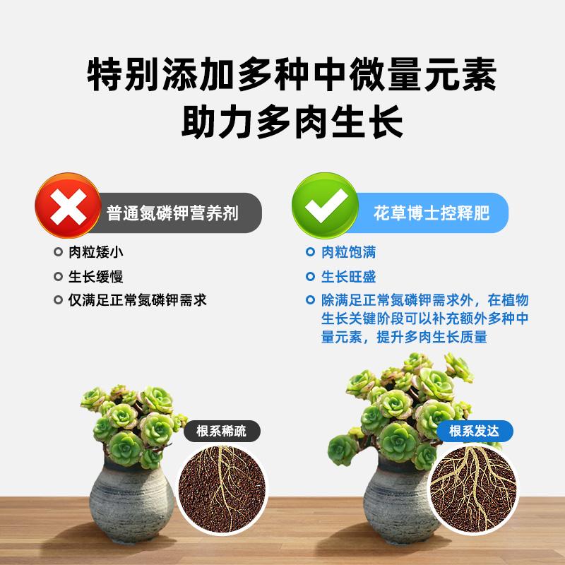 花草博士多肉专用控缓释肥家用盆栽补充氮磷钾花卉植物通用型肥料_花草博士家庭园艺_鲜花速递/花卉仿真/绿植园艺