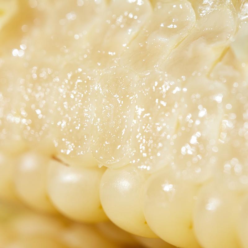 云南西双版纳拇指玉米糯玉米500g 云南西双版纳拇指玉米宝宝辅食软糯香糯小手指婴儿早餐无添加真空_滚锅优选_水产肉类/新鲜蔬果/熟食 水产肉类_新鲜蔬果_熟食