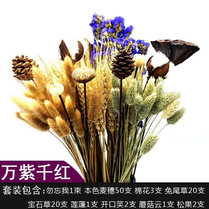 【签到】天然麦穗干花真花束 天然麦穗干花真花束开业大麦田园装饰摆件满天星稻穗拍摄道具礼品_落落花卉_鲜花速递/花卉仿真/绿植园艺 鲜花速递_花卉仿真_绿植园艺